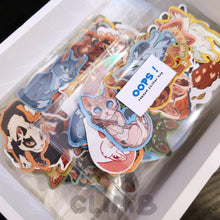Load image into Gallery viewer, Oops! - Random Sticker Bags