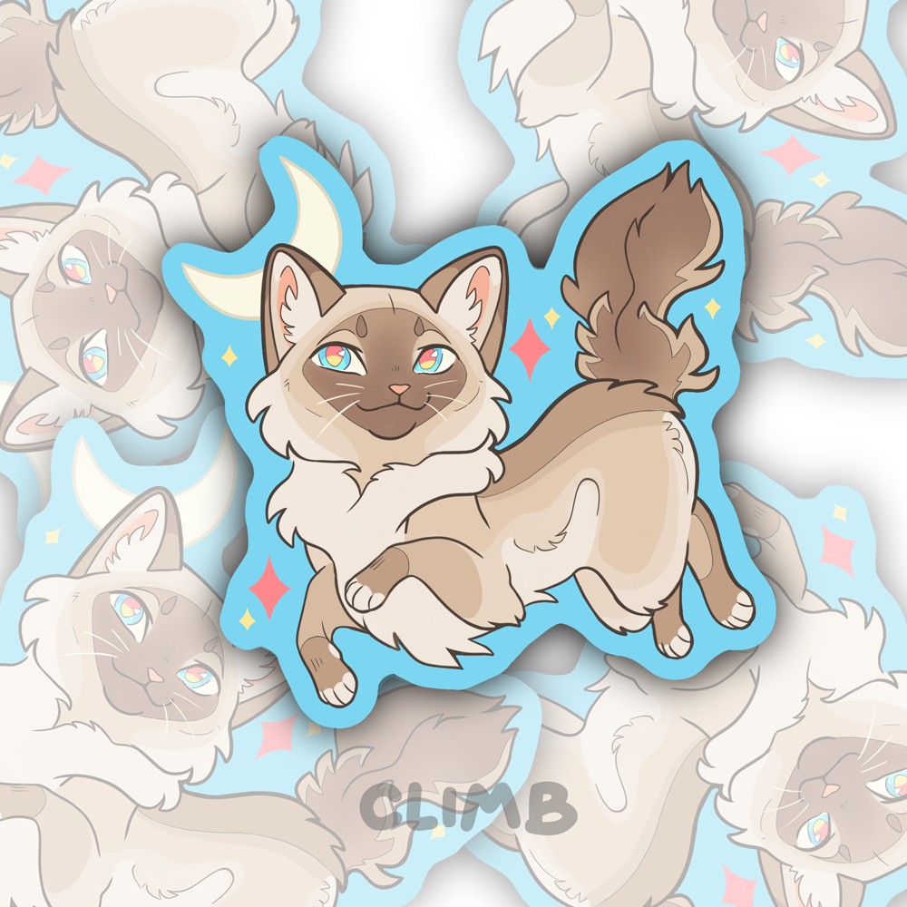 Cute Ragdoll Cat - Sticker