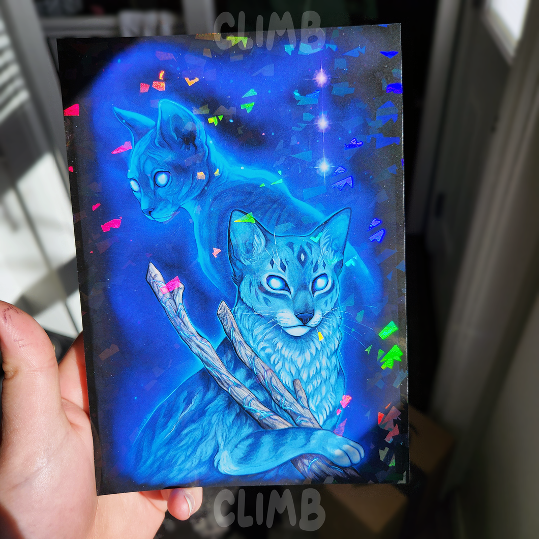 WC | Jayfeather & Rock - Holographic Mini Art Print