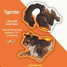 Load image into Gallery viewer, WC | Split Tigerstar - 2pc Keychain
