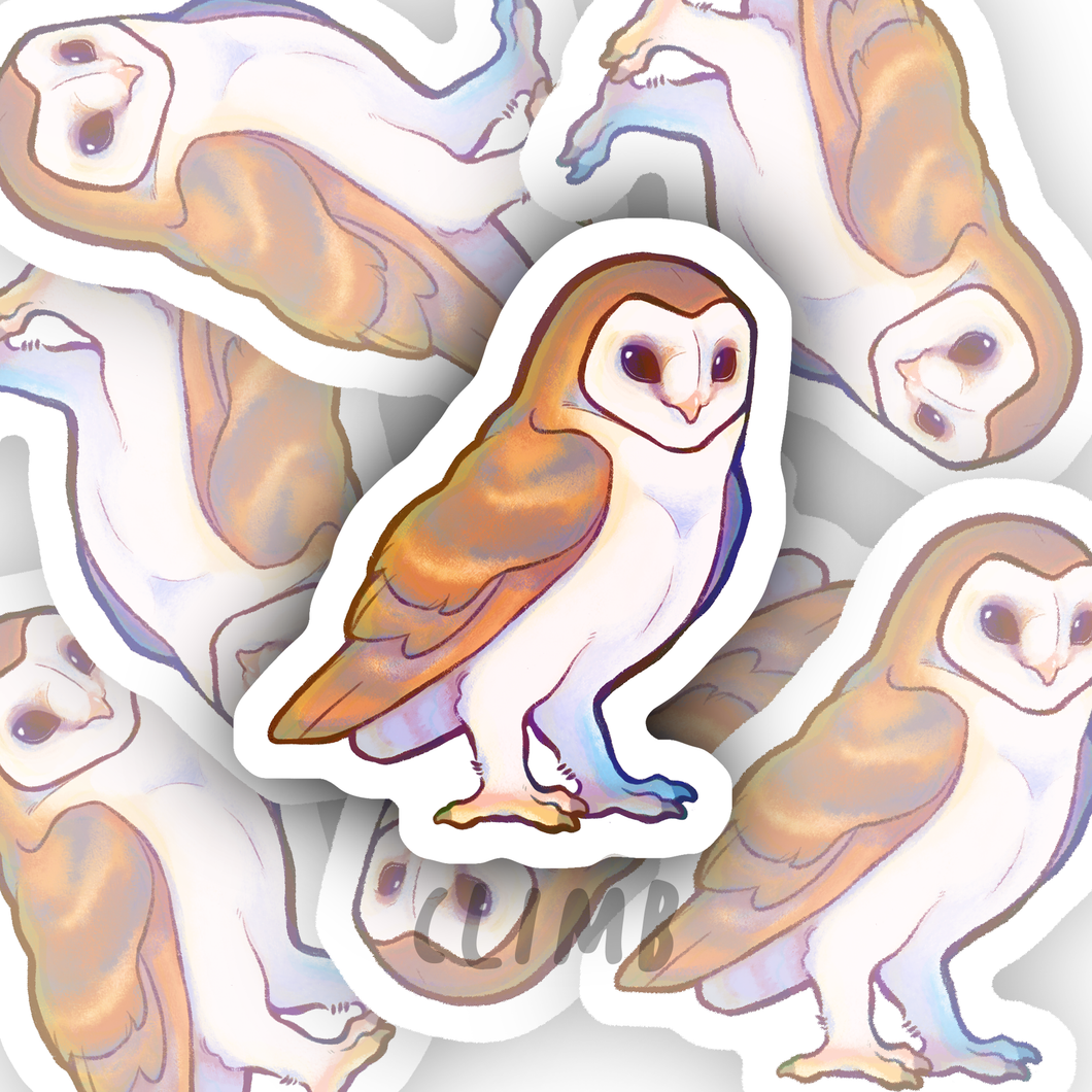 Cute Barn Owl - Sticker